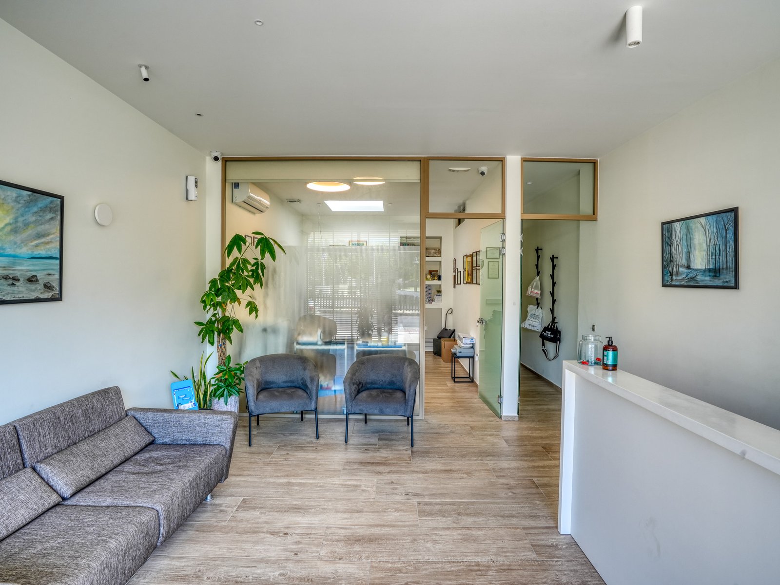 Comfortable waiting area with sofa, armchairs and plants